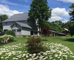 Outside House | Filbert B&B, Danielsville, PA