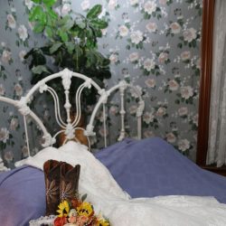 Weddings/Bride Gown | Filbert B&B, Danielsville, PA