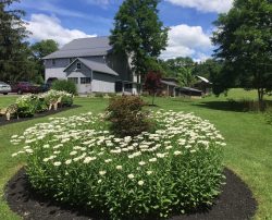 Outside House | Filbert B&B, Danielsville, PA