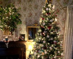 Christmas Tree | Filbert B&B, Danielsville, PA