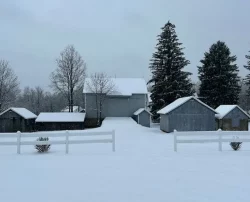 A snow-covered farm scene with two small barns and a white fence.