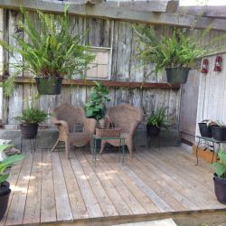 Outside House Plants | Filbert B&B, Danielsville, PA