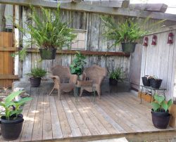 Outside House Plants | Filbert B&B, Danielsville, PA